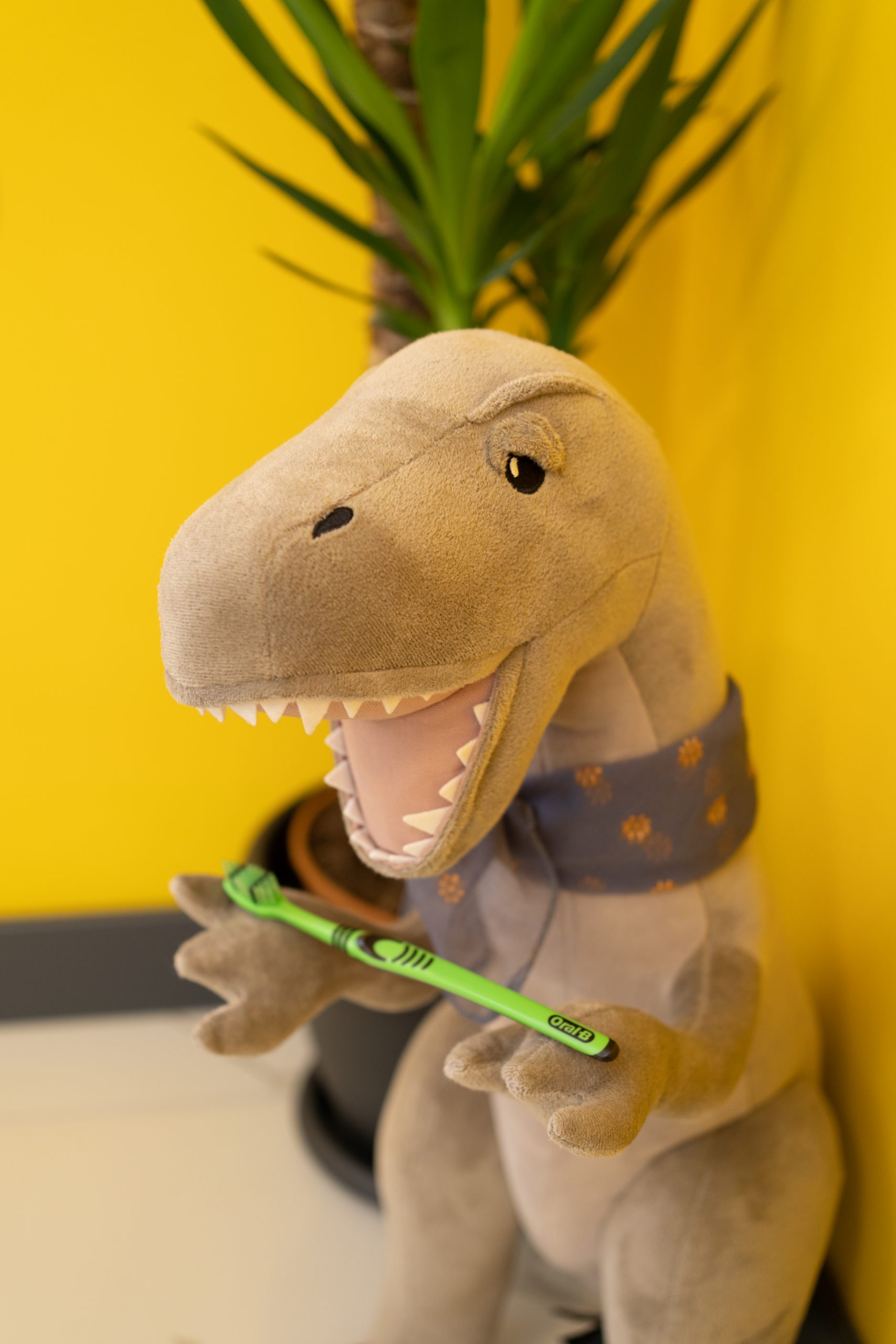 Koruyucu ve Minimal Girişimsel Yaklaşımlar